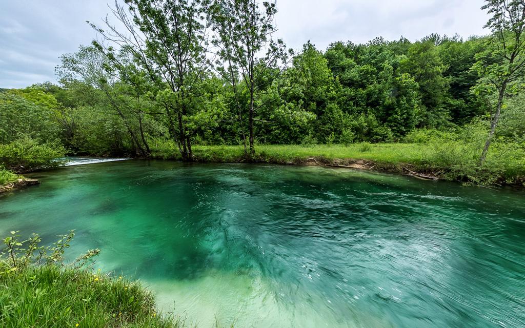 Bear'S Log Villa Selište Drežničko Eksteriør bilde